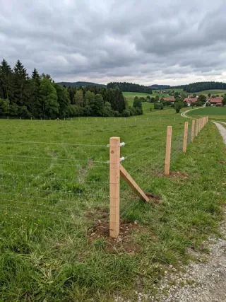 Weidezaun in Braunschweig - fachgerechte Ausführung vor Ort