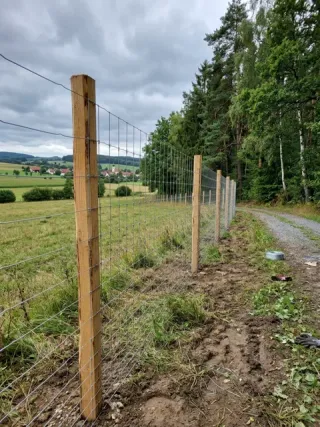 Wildzaun in Braunschweig - fachgerechte Ausführung vor Ort